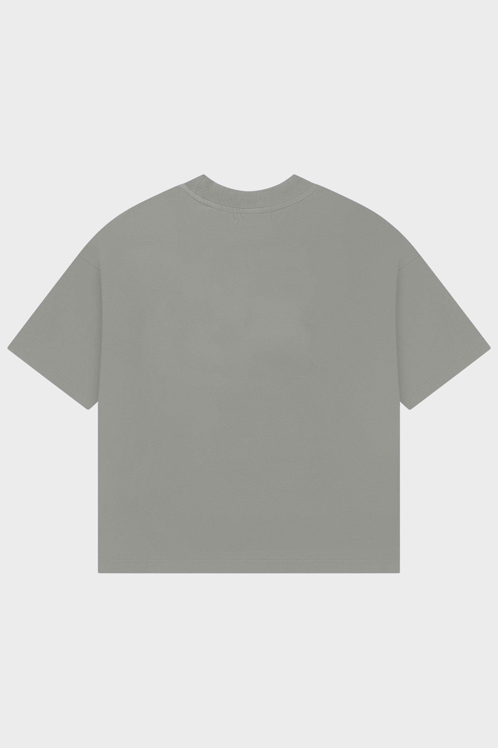 Ash Gray Blank Box Fit Tshirt